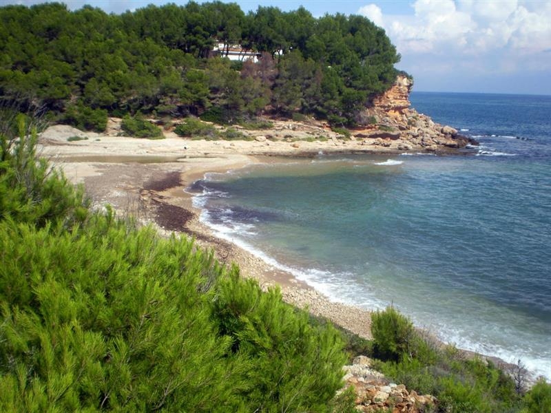 Port D'es Torrent Beach, San José - Beaches And Coves Of Ibiza