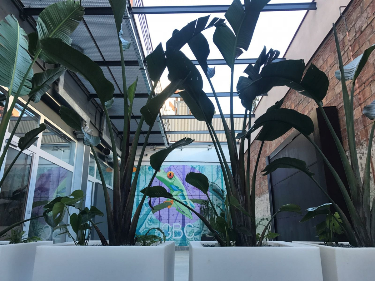 Terraza con fuente | Barcelona Film Commission