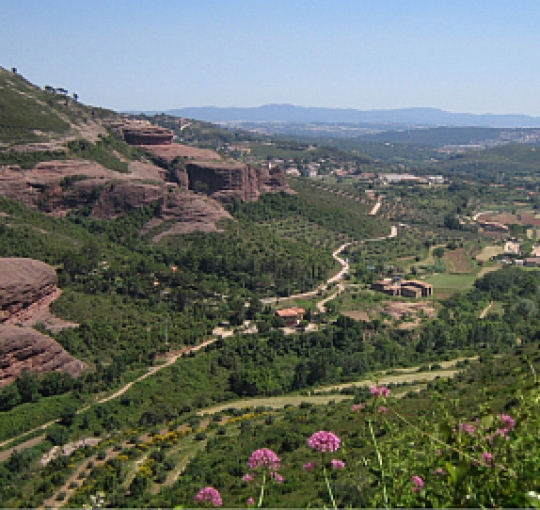 Vall de Tenes