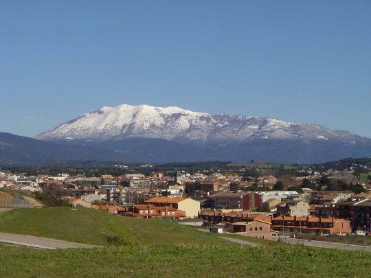 Cardadeu