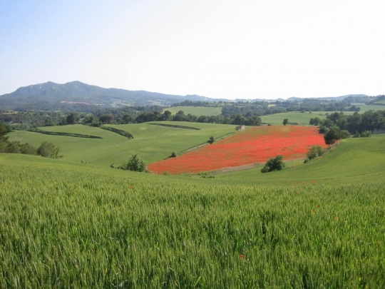 La Vall del Corb, La Conca de Barberà