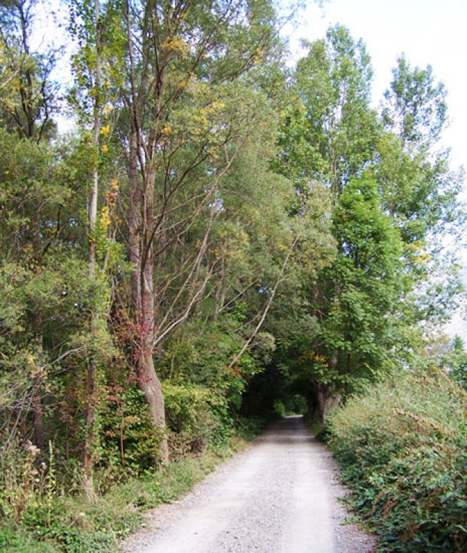 La Guinueta - Camins de muntanya 