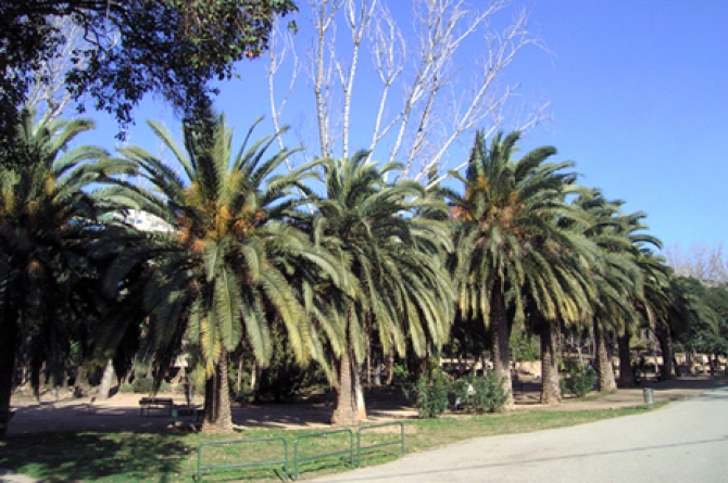 Parc de les Aigües