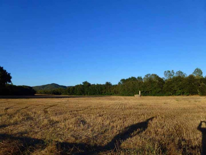 Mas Girona