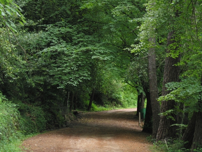 Pista Font des Boixets 