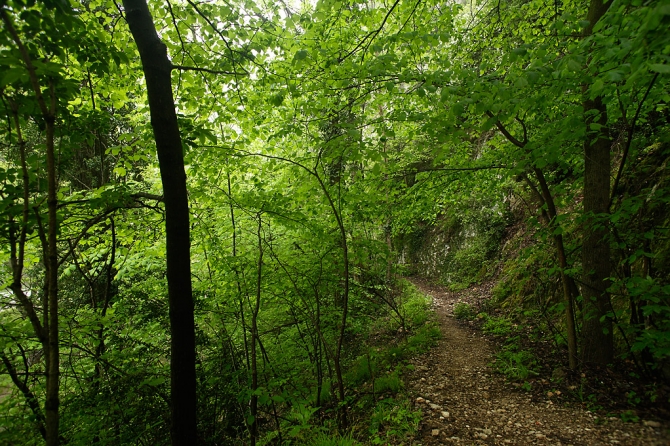 Camí de l'Obaga, Berga