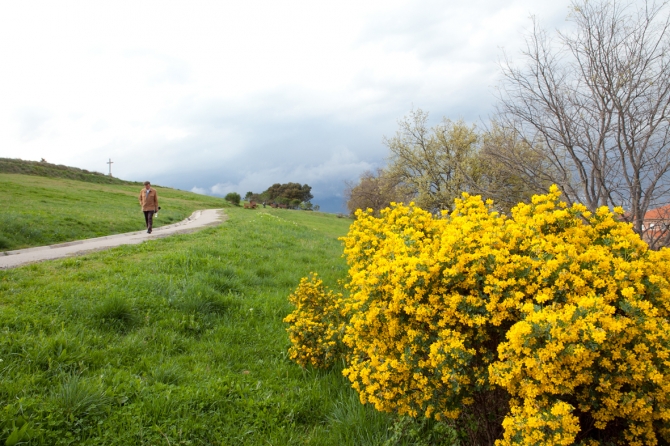 Parc de la Serreta