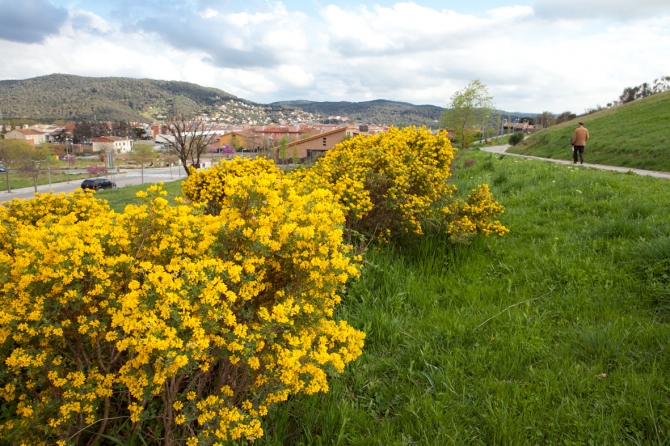 Parc de la Serreta