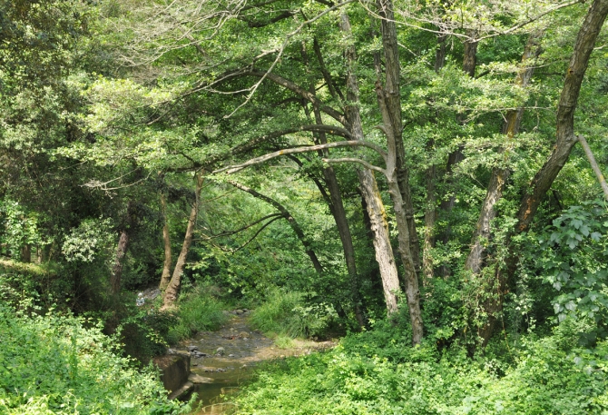 Parc de la Font dels Oms