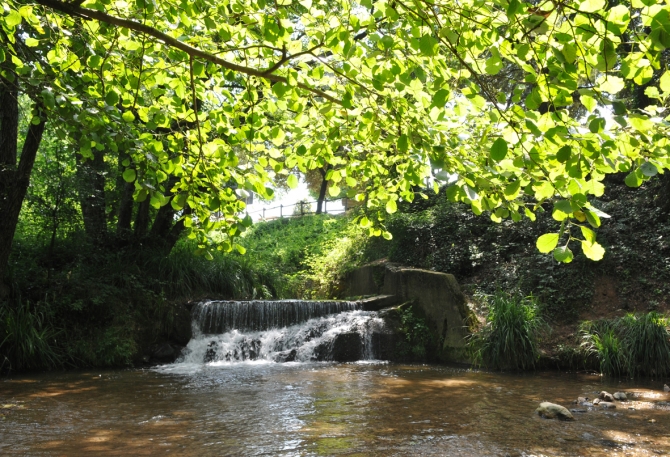 Parc de la Font dels Oms