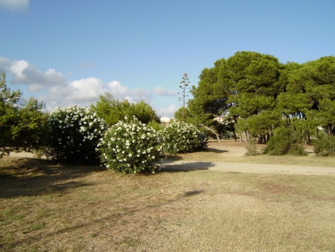 Zona Pícnic de Cubelles