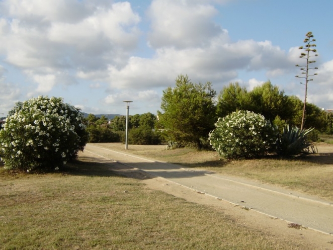 Zona Pícnic de Cubelles