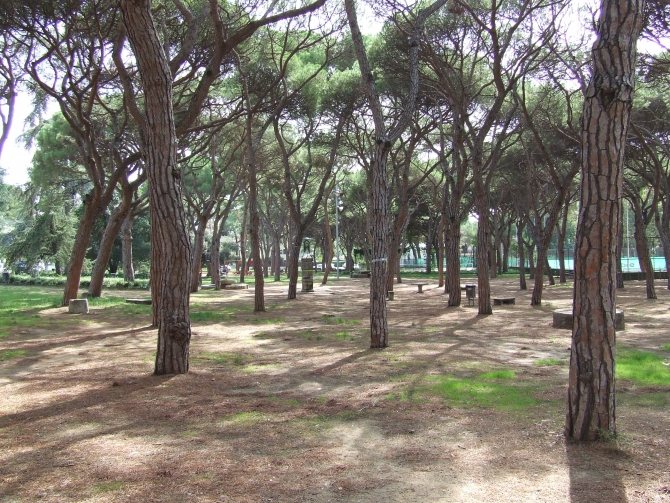 Parc dels Pinetons i parc Pompeu Fabra