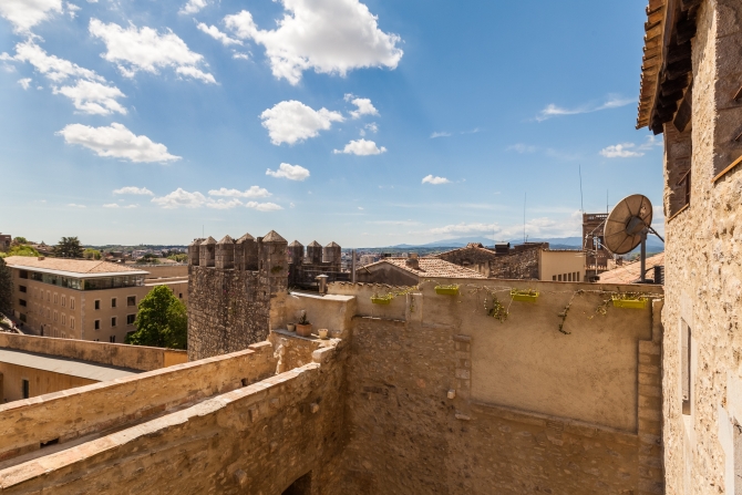 Palau dels Alemanys