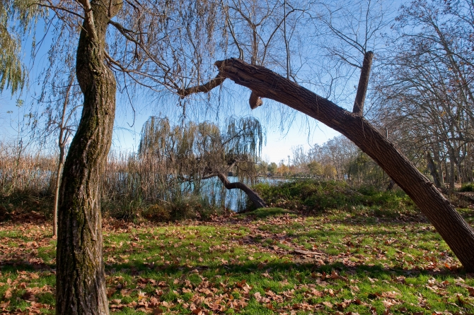 Banyoles paratge dels Desmais