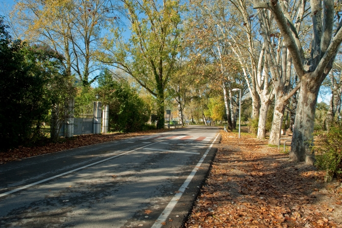 Banyoles paratge dels Desmais