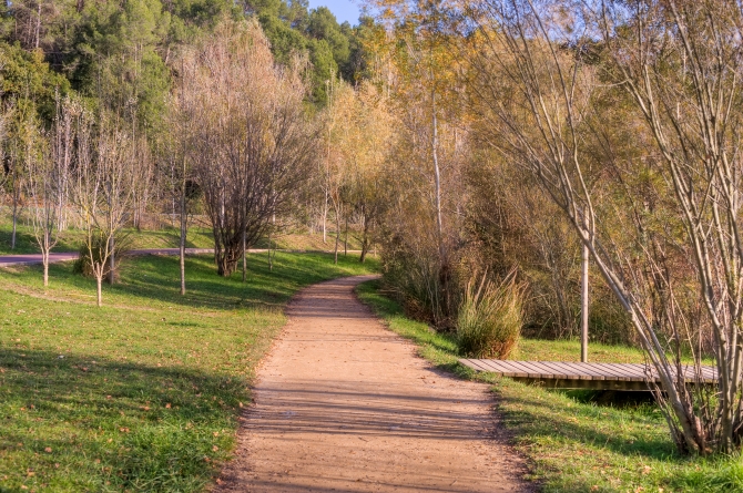 Banyoles Passera Lió