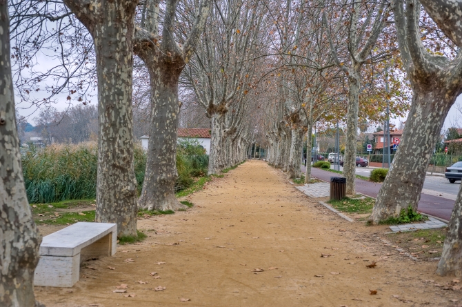 Pesquera Prat