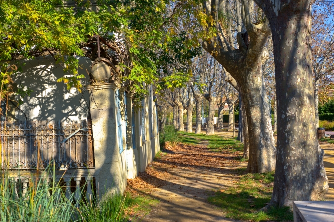 Pesquera Gayolà