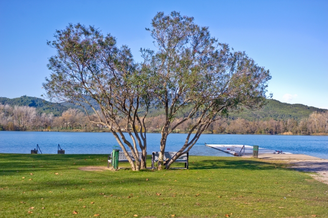 Banyoles Club Natació