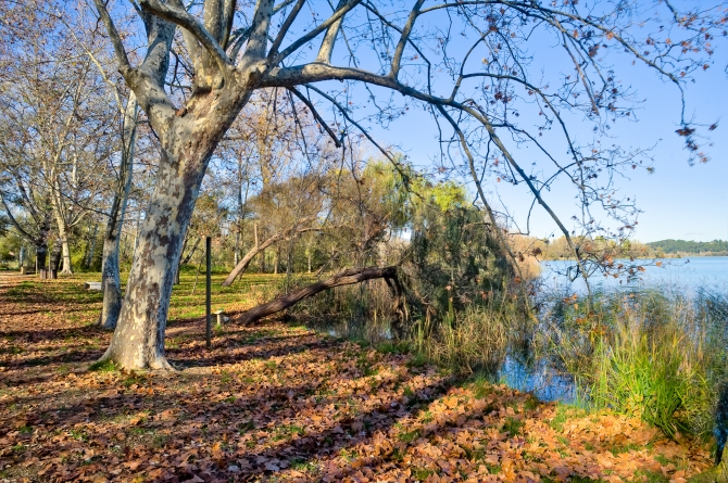 Banyoles paratge dels Desmais