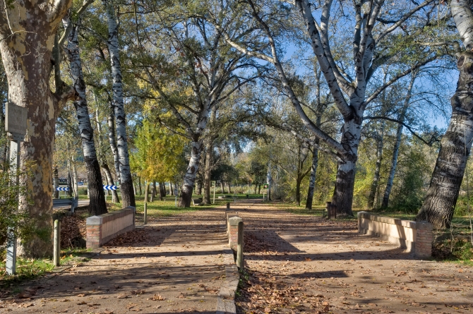 Banyoles paratge dels Desmais