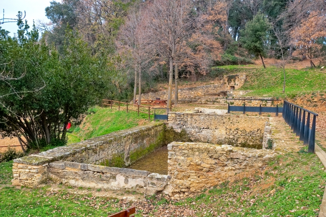 Banyoles bosc de can puig