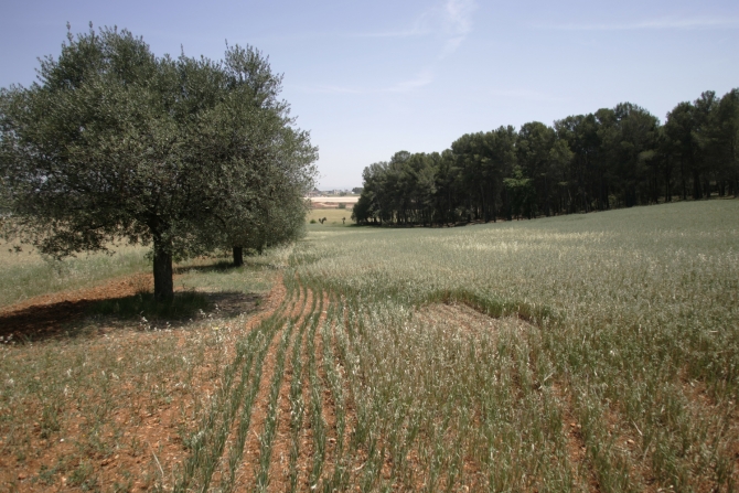 Parque Agrario de Sabadell 