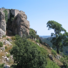 Castell de Selmella