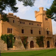 Bodegas Torre del Veguer 