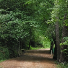 Pista Font des Boixets 