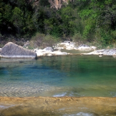 Basses del Codó 