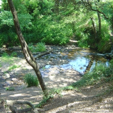 Parc de la Font dels Oms