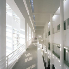 MACBA - Meier/Rampes