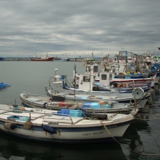 Port Pesquer de Roses