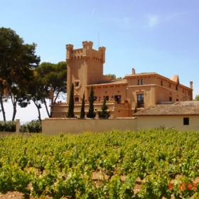 Bodegas Torre del Veguer 