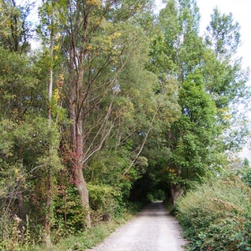 La Guinueta - Camins de muntanya 