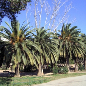 Parc de les Aigües