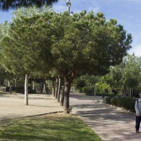 Jardins de Rosa Luxemburg