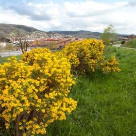 Parc de la Serreta