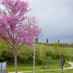 Parc de la Serreta