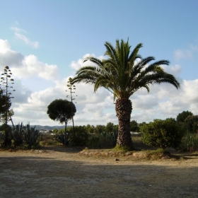 Zona Pícnic de Cubelles