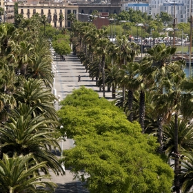 Moll Bosch i Alsina (Zona Central)