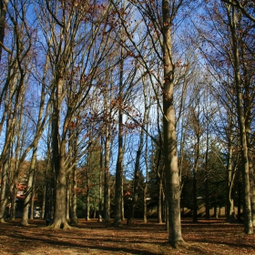 Parc Mare de Déu del Prat 