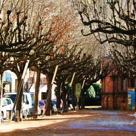 Passeig Compte Guifré 