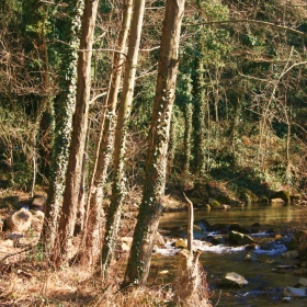 Torrent d'Arçamala 