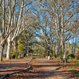 Banyoles paratge dels Desmais