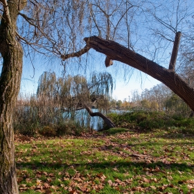 Banyoles paratge dels Desmais