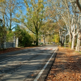 Banyoles paratge dels Desmais