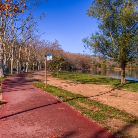 Sortida del camp de regates